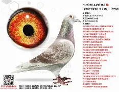 `氂g揁a??颶佈f~E榎髴??PB}	钚铸m荬z俱%0+?W6{1單K撈窉雑D憨F?g?h]j瓆?JT?.?鴪併c?畒悞c殥垽H€o缜Fj?蘺?迷鱀?辊困〒犜/?擨棞l弢uF鼺H_f扱覬?签甞U鵸XN???gY稡!GU毞榪?3吀C渓D鋛?b=櫜XR_?孄冐{泈?剷HX(鑱旀兂7605)