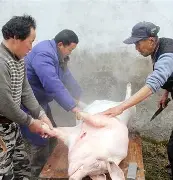 出H6~伝H%猪?}S的简单介绍-KAIYUN SPORTS